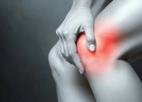 연골 재생은 가능할까 — 줄기세포가 바꾸고 있는 관절 치료의 미래