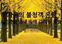 가을의 불청객 은행 고약한 냄새 속에 감춰진 효능은?