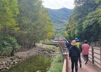 30년 지기 친구들과 함께한 가을 강천산 산행