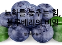 노화를 늦추는 힘, 블루베리의 비밀