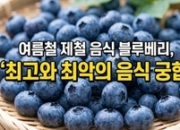 여름철 제철 음식 블루베리, ‘최고와 최악의 음식 궁합’