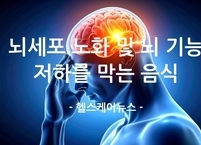 뇌세포 노화 및 뇌 기능 저하를 막는 음식... 브레인 푸드 