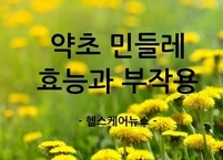 잡초? 민들레는 잡초가 아닌 약초