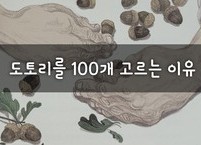 도도리를 100개 고르는 이유