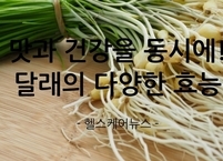 맛과 건강을 동시에! 달래의 다양한 효능