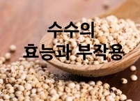 오곡 중 하나인 수수의 효능과 부작용