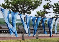 천연염색제인 쪽풀은 약이다