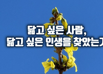 닮고 싶은 사람, 닮고 싶은 인생을 찾았는가