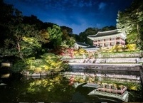 4월의 테마 추천 여행지와 국립자연휴양림 벚꽃 명소 11곳 소개