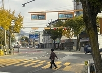 정읍시, 보행자 안전을 위해 어린이보호구역 스마트 횡단보도 설치
