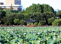 전주 덕진공원 다양한 문화 콘텐츠로 여행객 눈길 사로잡는다.