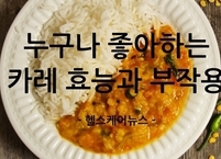 남녀노소 누구나 좋아하는 카레 효능과 부작용