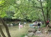 문화>취재>전라남도 장성 남창계곡에서 한나절 깜짝 휴가