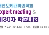 대한모체태아의학회, Expert meeting & 제30차 학술대회 개최