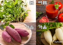건강한 혈관이 만드는 백세시대, 제철 음식 재료로 시작하다