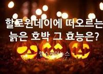 늙은 호박 그 효능은?