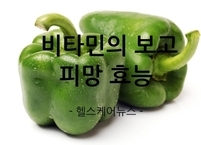 비타민의 보고(寶庫) 피망의 효능