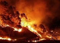 [속보] 전주 완산칠봉 산불 강풍에 진화에 어려움