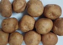 ‘땅 속의 사과’인 여름철 제철 식품 감자의 효능과 약효