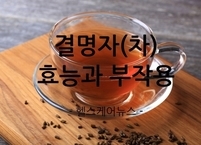 불분명한 것을 밝게 해주는 결명자 효능과 부작용