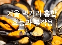 서민들의 속을 풀어주는 대표적인 겨울 먹거리 홍합 효능
