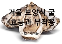 겨울 보양식 굴의 효능과 부작용