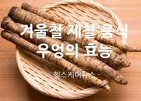 겨울철 제철 음식 우엉~~ 우엉의 효능
