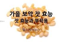 가을 보약 잣 효능