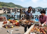 5월 바다의 선물 제철 음식 해산물 8가지