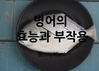 6월 제철 수산물 병어 효능과 부작용