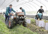 순창군, 고령 영세농업인 농작업 대행비 지원... 돈 버는 농업 실현