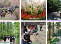 임도, 국민 여가 공간으로 새 가치... '아름다운 임도 100선' 공모 시작