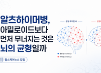 알츠하이머병, 아밀로이드보다 먼저 무너지는 것은 '뇌의 균형'일까