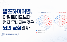 알츠하이머병, 아밀로이드보다 먼저 무너지는 것은 '뇌의 균형'일까