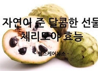 자연이 준 달콤한 선물 체리모야 효능과 부작용