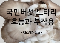 국민버섯 느타리버섯의 효능과 부작용