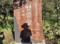 대한민국 100대 명품 숲, 임실 방수리 장제무림을 찾아서