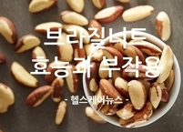 '셀레늄의 보고' 브라질너트의 효능과 부작용