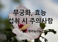 무궁화, 현명한 활용법과 효능 섭취 시 주의사항