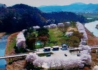 아홉 노인들이 한 그루씩 나무를 심은 순창 동계 구송정(九松亭)