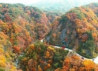 남원시, 지리산 뱀사골 단풍길 투어버스 운영
