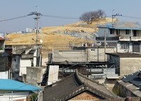 후백제 궁궐터였던 물왕멀의 수난