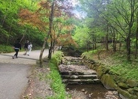 5월의 두 번째 산행 대전 만인산자연휴양림
