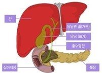 함부로 쓸개 빠진 사람 되지 말자