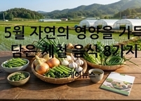 5월 제철 음식 자연의 영양을 가득 담은 제철 농산물 8가지