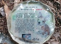 찢어질 듯이 아픈 가슴으로 만든 바둑이 무덤