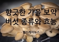 가을의 향기로운 보약, 버섯의 종류와 효능