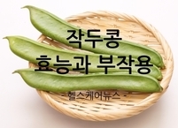 몸을 따뜻하게 해주는 작두콩 효능과 부작용