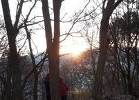 올해도 작심삼일?
