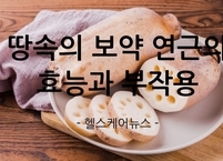 땅속의 보약 연근의 효능과 부작용